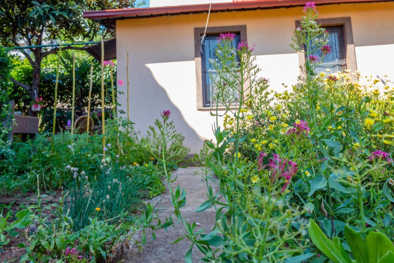 Little Garden House Villa Rijeka Ngoại thất bức ảnh