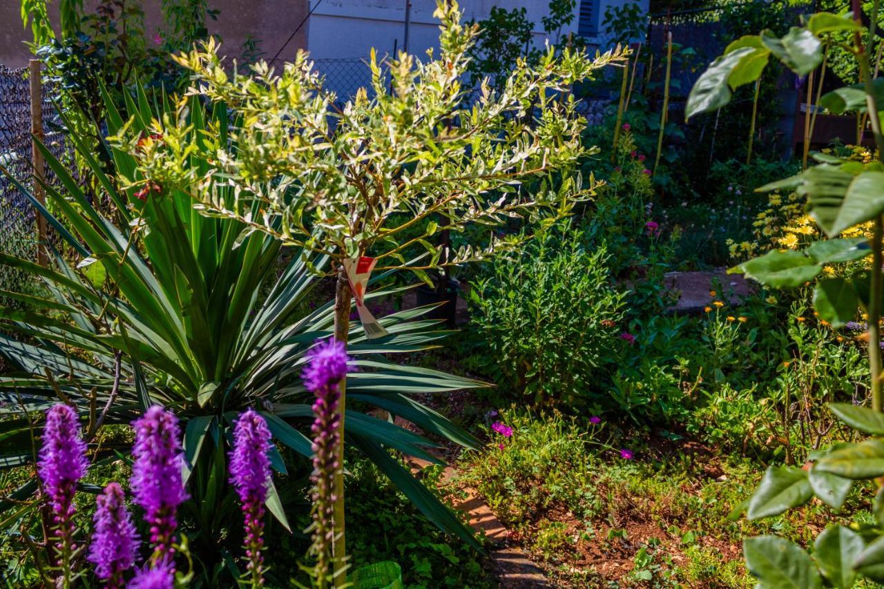 Little Garden House Villa Rijeka Ngoại thất bức ảnh